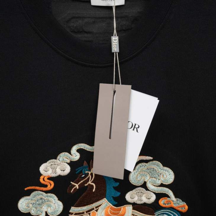 Dior T Shirts Short _SKUDiorS-2XLxetr22915927